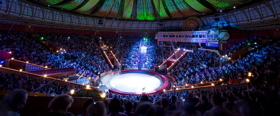 Новогодняя ёлка Сказка о Белоснежке и семи гномах